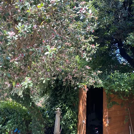 Villa Orsini-3